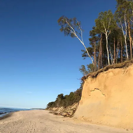 Przy Lesie アパート *