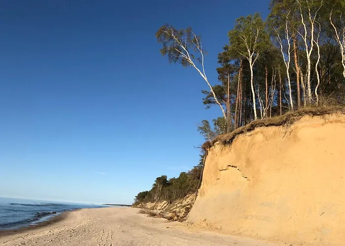 Przy Lesie Apartamento *