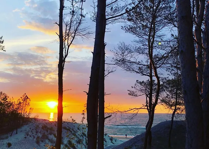 Apartamento Przy Lesie