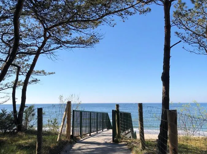 Przy Lesie Międzywodzie